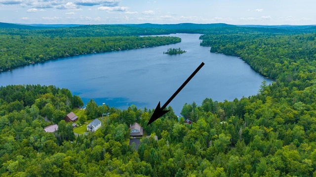 aerial view with a water view and a forest view