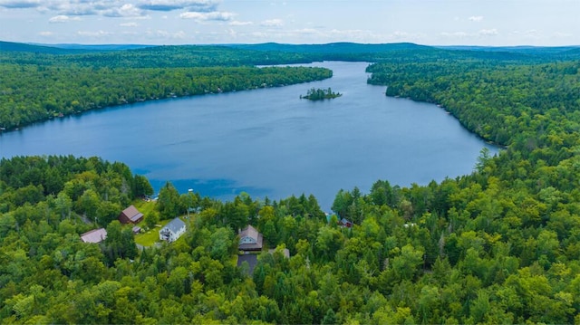 bird's eye view with a water view and a forest view