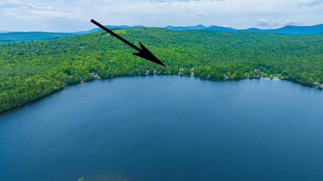 aerial view with a water and mountain view and a view of trees