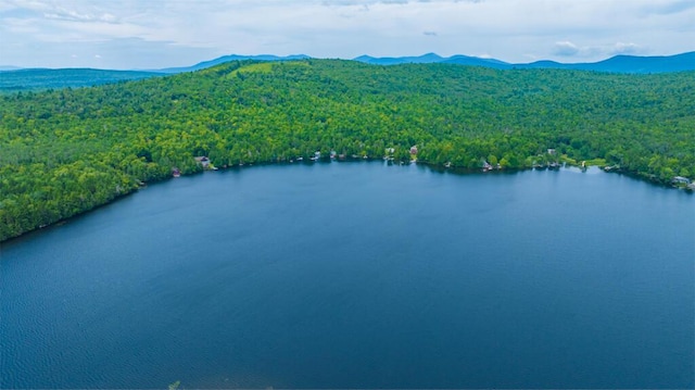bird's eye view with a forest view and a water and mountain view