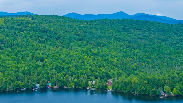 birds eye view of property featuring a water and mountain view and a view of trees