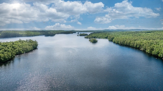 water view featuring a forest view