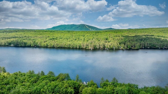 water view with a mountain view and a forest view