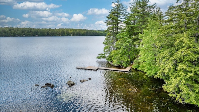 property view of water with a forest view and a boat dock