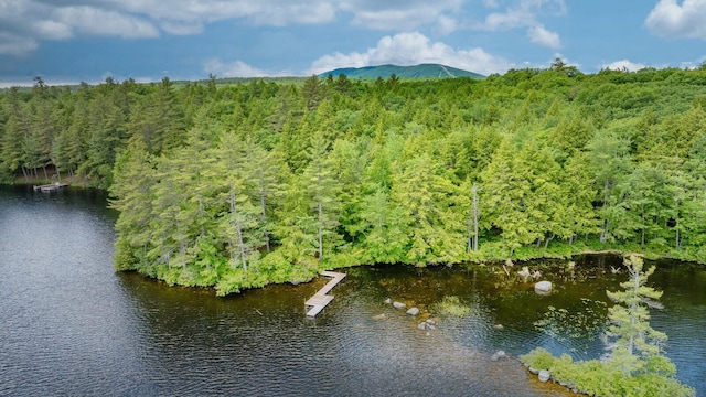 birds eye view of property with a water and mountain view and a view of trees