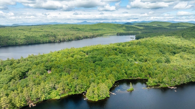 birds eye view of property featuring a wooded view and a water and mountain view