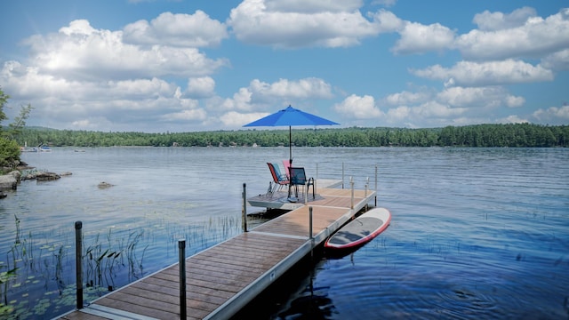 dock area with a water view