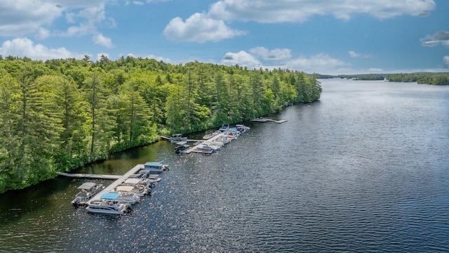 drone / aerial view featuring a water view and a forest view