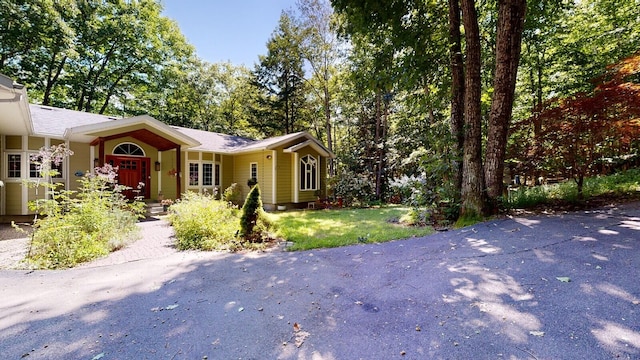 ranch-style house with a front yard