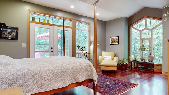 bedroom featuring access to outside, french doors, multiple windows, and dark wood-style flooring