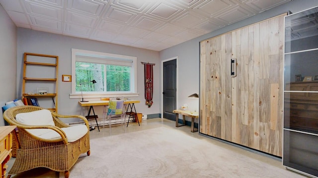 sitting room with an ornate ceiling and baseboard heating