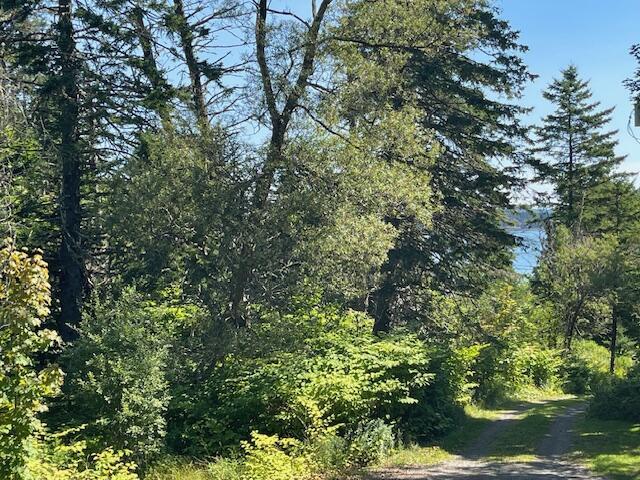 11 Sardine Way, Lubec, ME 04652 - view of local wilderness with a wooded view