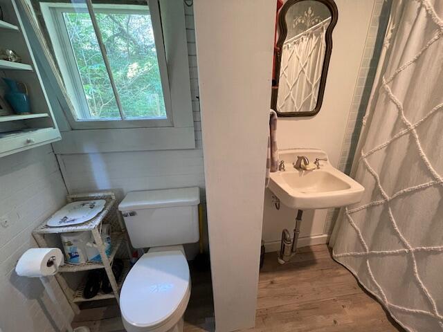 11 Sardine Way, Lubec, ME 04652 - bathroom with toilet, a sink, and wood finished floors