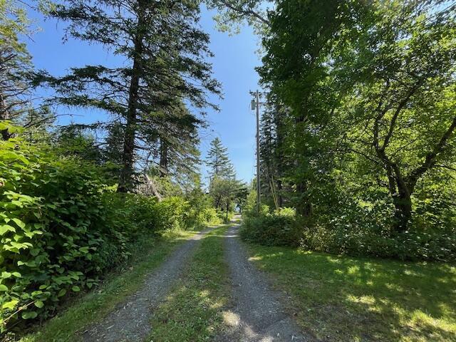 11 Sardine Way, Lubec, ME 04652 - view of road