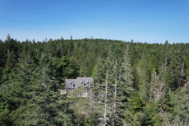 11 Sardine Way, Lubec, ME 04652 - drone / aerial view with a view of trees