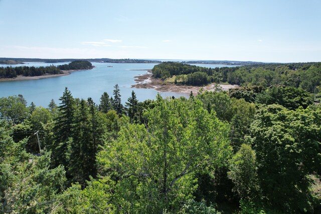 11 Sardine Way, Lubec, ME 04652 - property view of water with a forest view