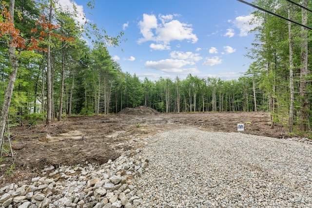 view of local wilderness