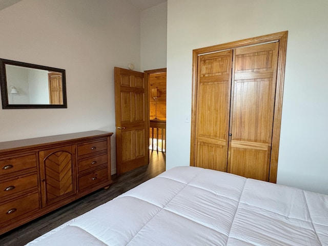 bedroom featuring dark wood-style flooring and a closet