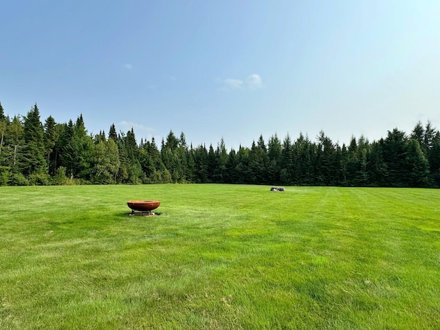 view of home's community featuring a forest view and a yard