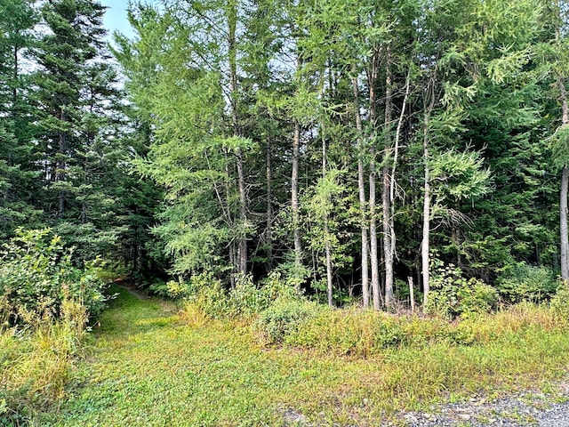 view of nature featuring a wooded view