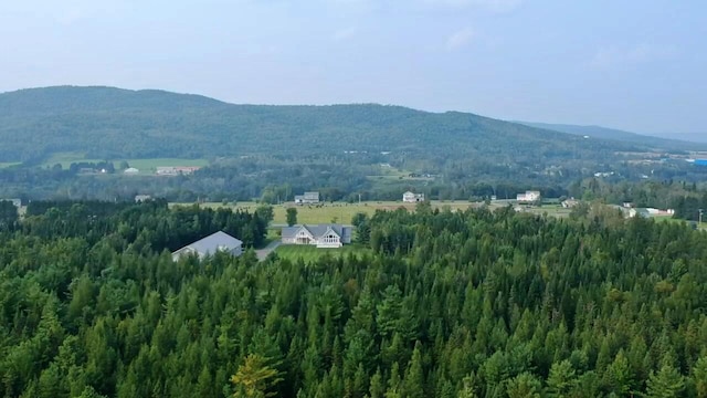 property view of mountains with a forest view