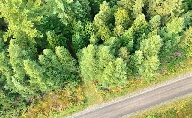 birds eye view of property with a forest view