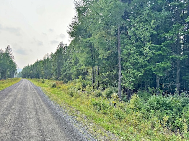 view of road with a forest view