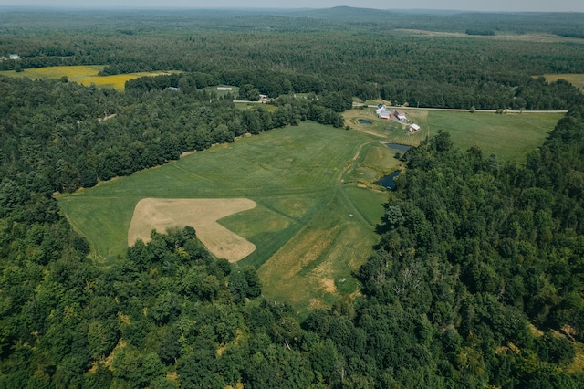 drone / aerial view