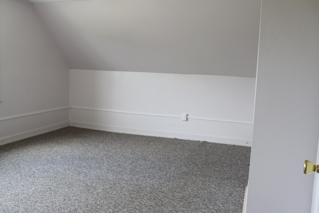 additional living space with carpet and lofted ceiling