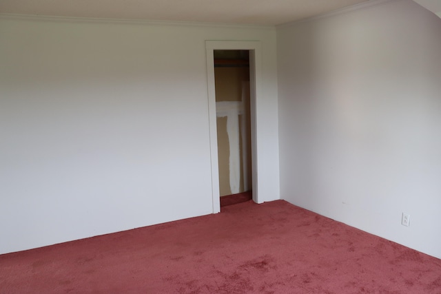 empty room featuring carpet flooring and crown molding