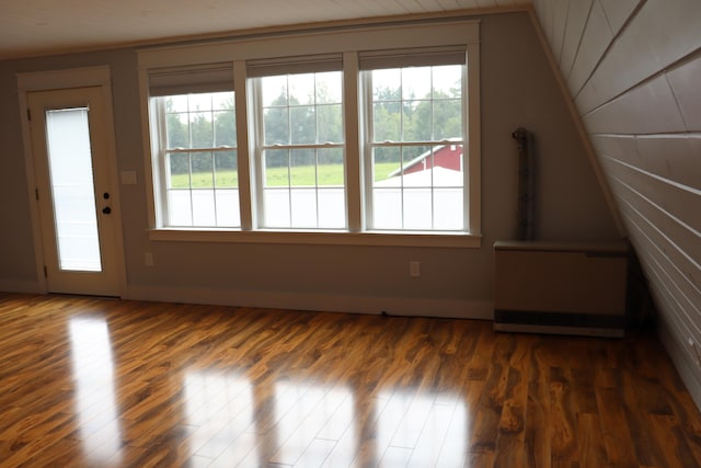 bonus room featuring radiator heating unit and dark hardwood / wood-style flooring