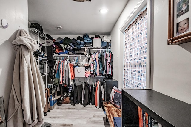 spacious closet featuring wood-type flooring