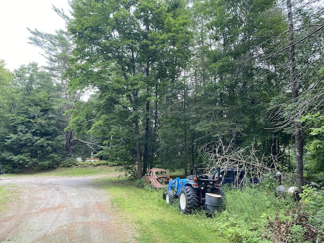 view of road featuring a view of trees