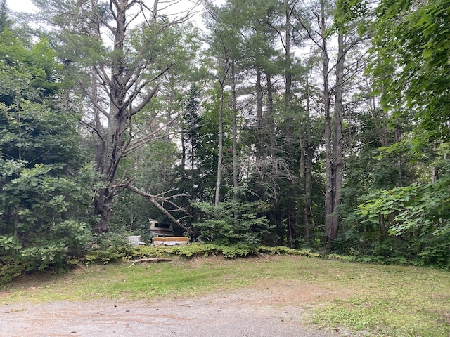 view of yard featuring a view of trees