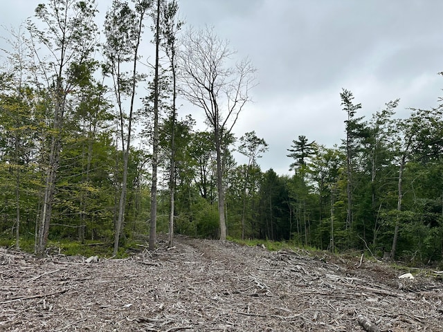 LOT00 Maplewood Rd, Parsonsfield ME, 04047 land for sale