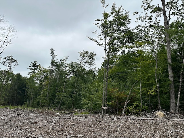 Listing photo 3 for LOT00 Maplewood Rd, Parsonsfield ME 04047