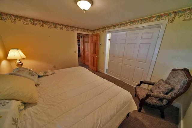 carpeted bedroom featuring a closet