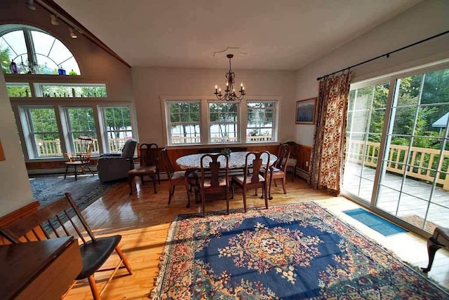 dining room with hardwood / wood-style flooring, an inviting chandelier, plenty of natural light, and track lighting