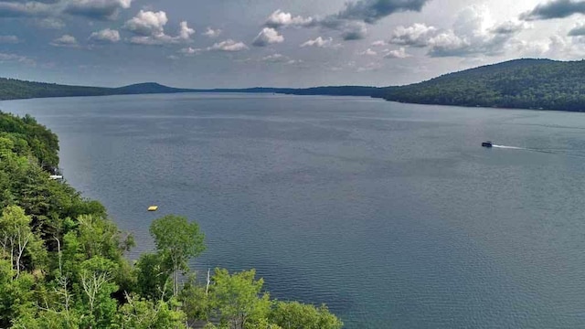 property view of water featuring a mountain view