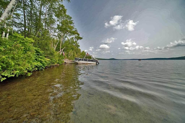 view of water feature with a boat dock