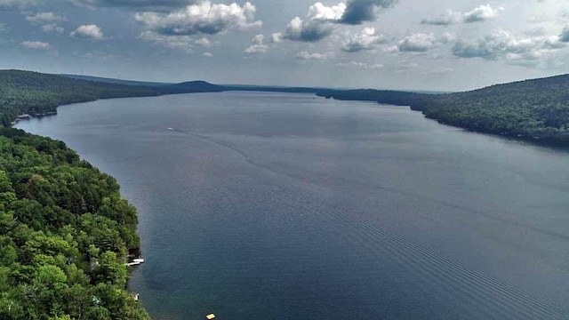 property view of water featuring a mountain view