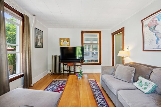 living room featuring radiator heating unit, light wood-type flooring, and crown molding