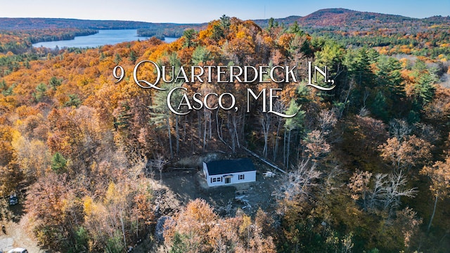 birds eye view of property featuring a water and mountain view