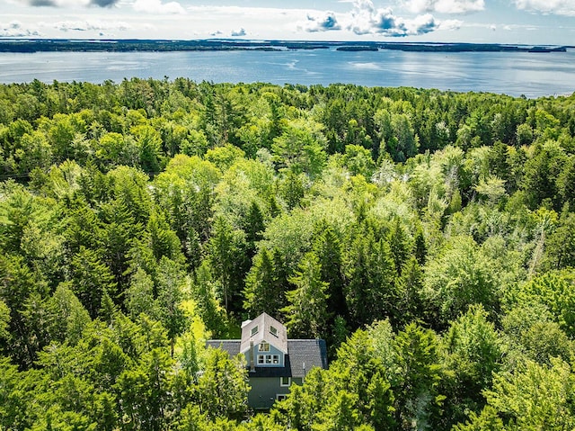 birds eye view of property featuring a water view and a view of trees