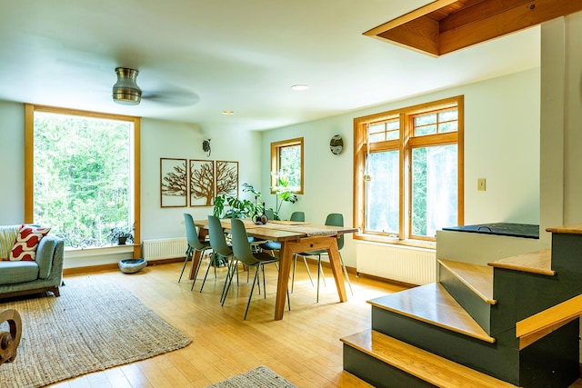 dining space with radiator and light wood-style flooring