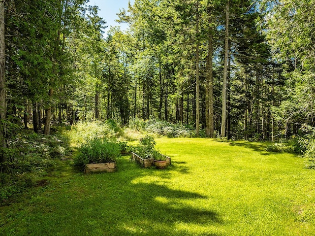 view of yard featuring a wooded view and a garden