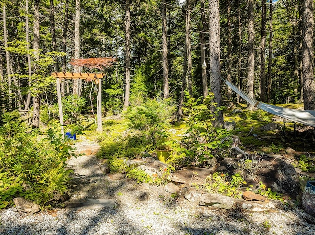 view of nature with a view of trees