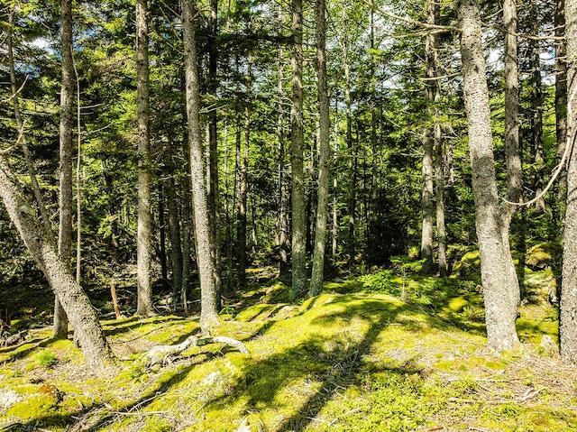 view of landscape featuring a wooded view