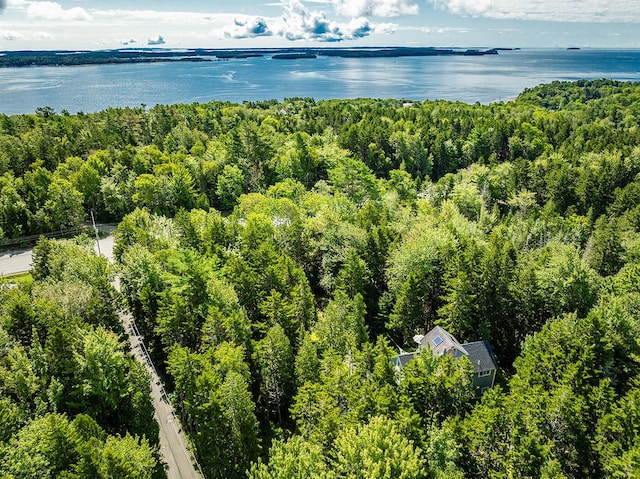 birds eye view of property featuring a water view and a view of trees