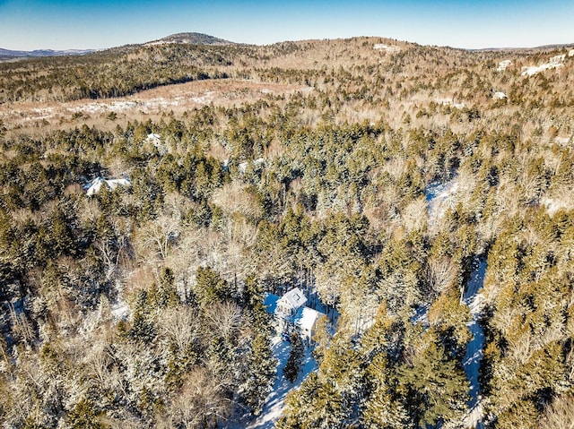 aerial view with a mountain view and a view of trees